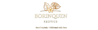 Translation missing: en.Borinquen Exotics LLC accessibility.home